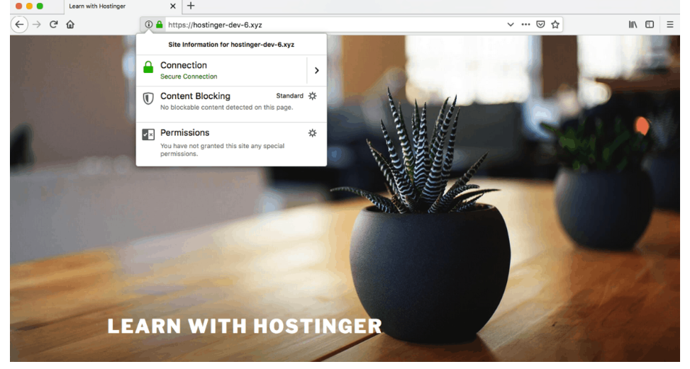 WordPress, SSL, HTTPS